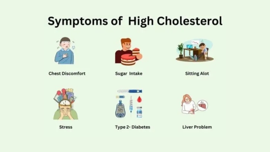early signs of high cholesterol infographic